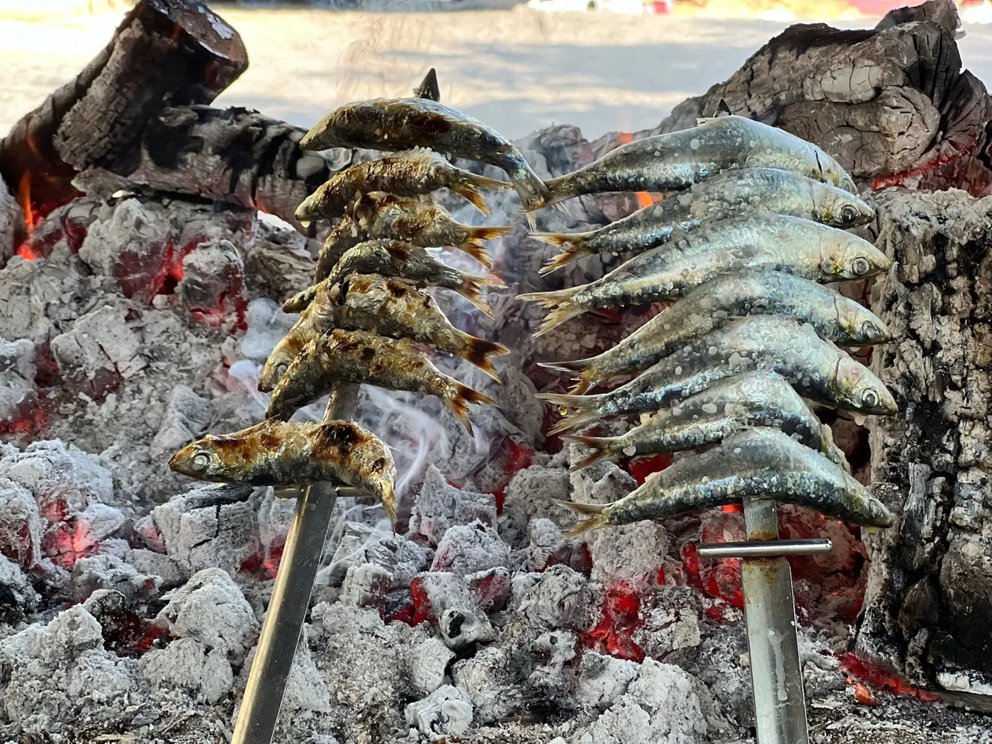 Sardinas cocinándose al espeto sobre las brasas